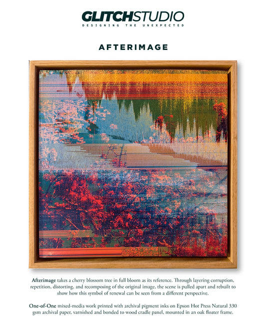 Afterimage | 12x12 Framed